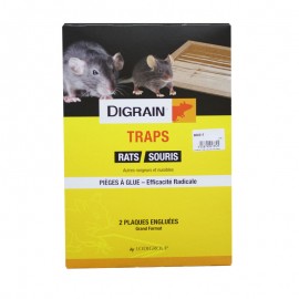 Piège collant DIGRAIN