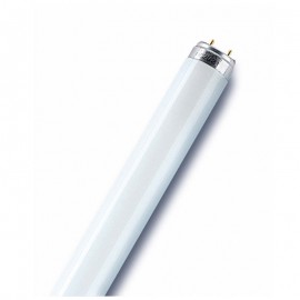 Tube Fluorescent L36W/865 LUMIERE DU JOUR